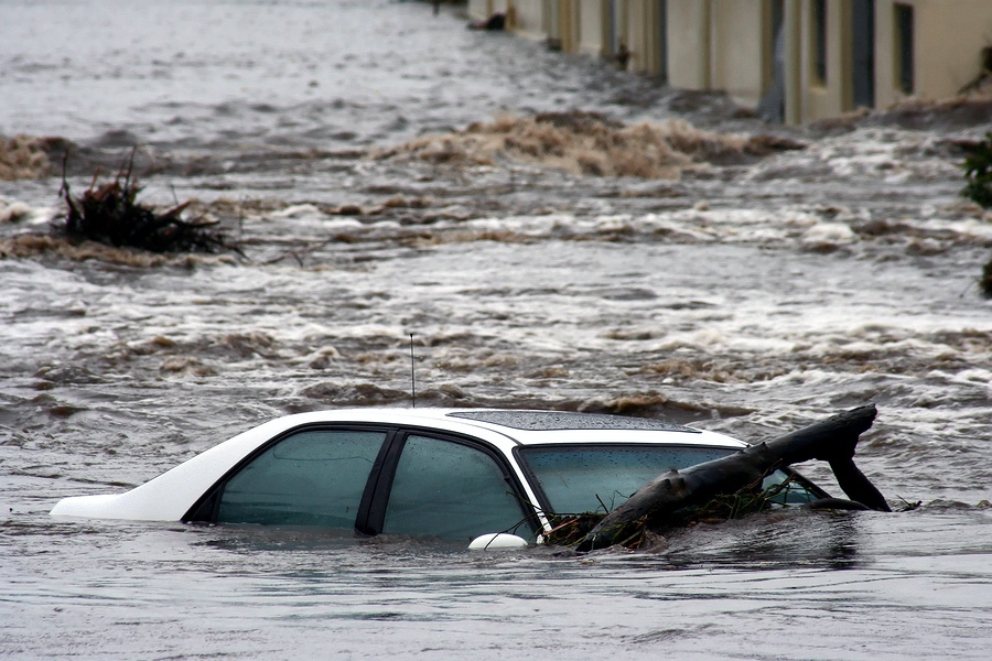Real Car Tips on Avoiding Buying Flood Totaled Autos