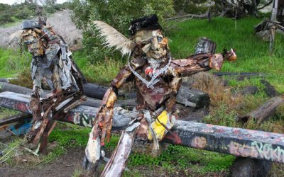 Things to Do in The Bay Area That Are Really Cool