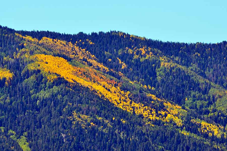Unforgettable Road Trip to See Colorful Foliage in Northern California