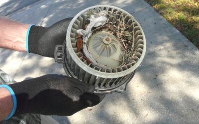 Synthetic Oil – What You Need to Know