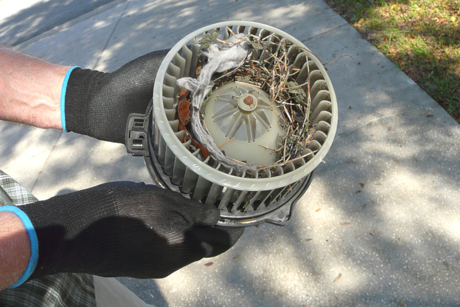 Synthetic Oil – What You Need to Know